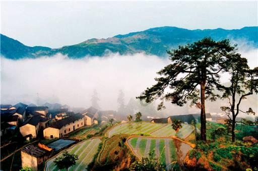 又一部24集大剧空降,2大看点碾压当下娱乐剧