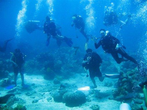 青岛西海岸新区重磅推出“西海岸100·2024悠游季”百场活动